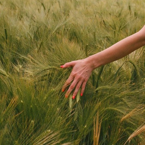 5 Spring Skincare Tips